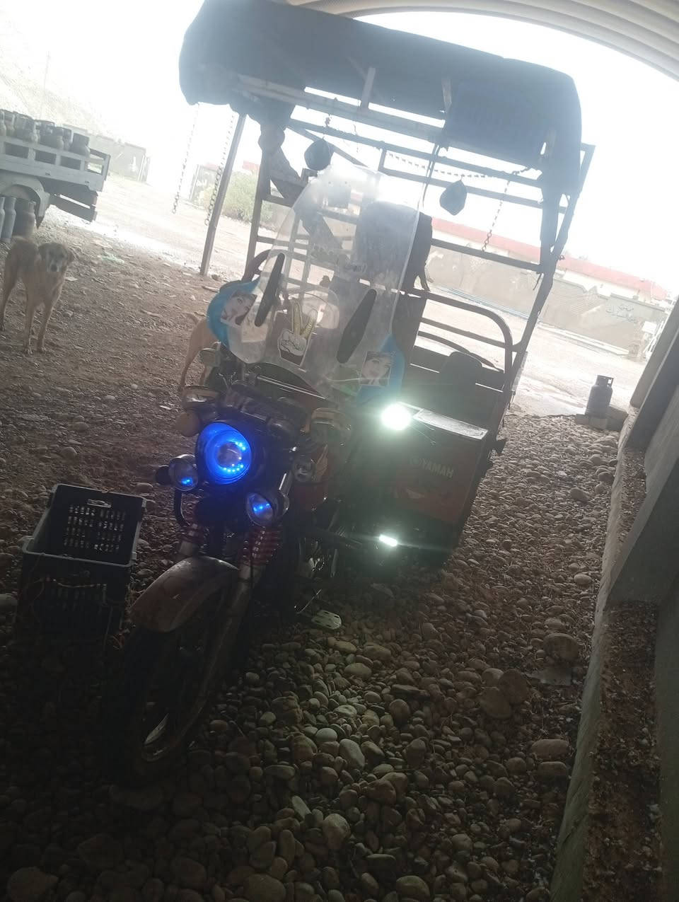 سلا م عليكم ستوته لبيع موديل 17الستفسار عل رغم ***********
