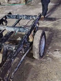 ستوته • ام تي ار • بدون أوراق