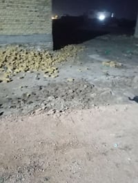 قطعة زراعية • السماوية • ١٣٠م