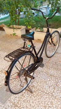 باسكل • نضيف مرتب • الحلة حي الجزائر