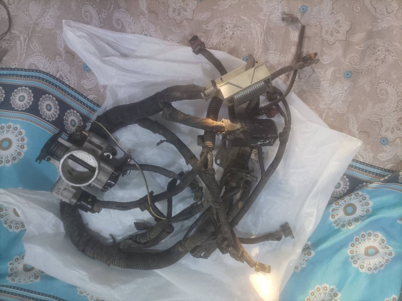 تتوفر ضفيرت محرك افيو  امريكي


**إذا كنت صاحب هذا الإعلان وتريد حذفه لأي سبب، رجاءا أرسل رسالة إلى الدعم الفني**