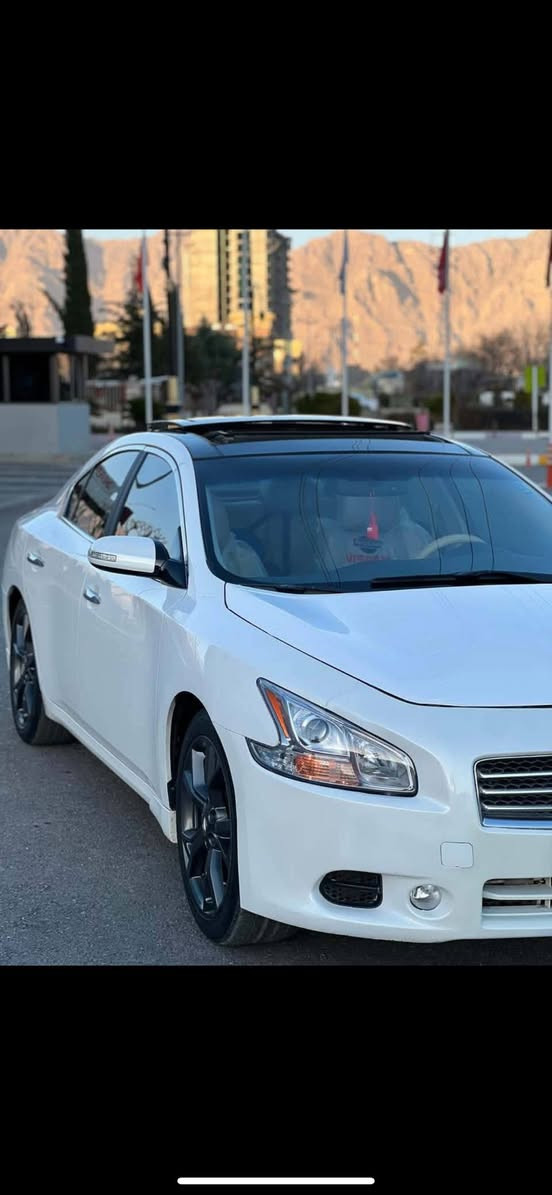 نیسان ماگزیما ۲۰۱۲قەپات قەپات مواسەفات پانۆڕا ما ناوزەرد کوشن تەبرید ساردو گەرم کوشن سیاحی وخەزن ومیمۆری ئاوێنەشەفت وکامێڕاو ئاوێنە ئۆتۆدەرگا بەسمە پەردەکارەبای وسێ گێڕو سوکان خەزن سەماحە بۆس و ٦سیدی مواسەفاتی فولە سەنەوی تا۲۰۳۱ تازەیە تحویل وغرامە بەشەرت گێڕوومەکینە بەشەرت گارەبای گشت گیانی بەشەرتە ۱پارچە سبوغ چاملغی دواوە لای سەکن  تعدیل و شوختی هیچ پێوە نیە سەیارەکە کەنەدیە
***********
***********
