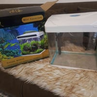 حوض ٤٠ • هيتر إضافي • الحي العسكري سايدين