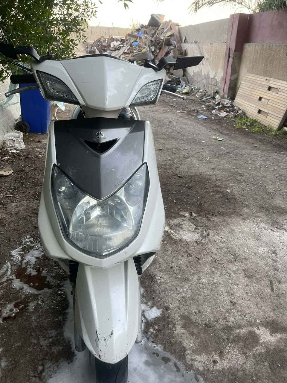 سلام عليكم شباب سكنس البيع كلش نضيفه لله شاهد مل ولد موضف ميطلع بعيد الدراجه خير من لله ناعمه كلش سعر الدراجه 1000
مليون المكان بغداد البياع ***********
