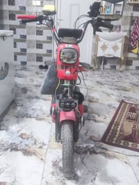 حجم ١٤ • شغلات ١٠٠٪ • بابل بكرلي