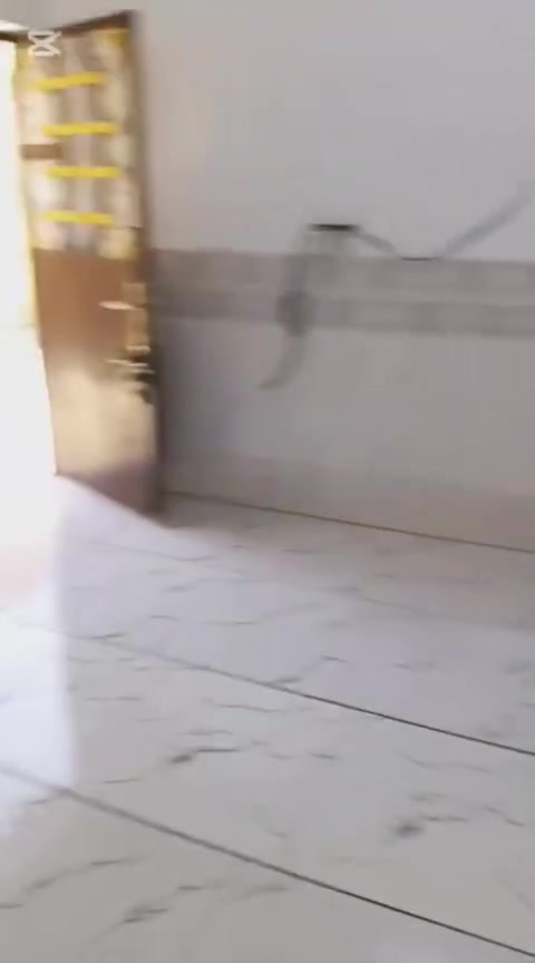 دار خلفي للبيع بسعر مناسب مشمول بالتطويب
الكمالية شارع البدالة قرب ابو مشتاق
البيت جاهز للسكن مناقصة أي شي.
السعر ٢٤مليون قابل للتفاوض
***********رقم سيد
المساحه ١٤٠متر
