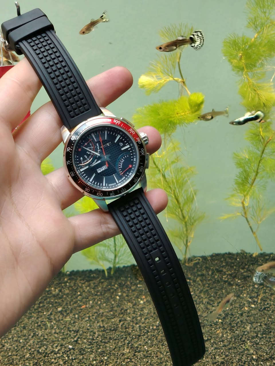 السلام عليكم 

ساعة تايمكس إس إل سيريز فلاي باك اصلي جديد

°الوصف
• متينة وكلاسيكي، جاهزة لأي مسافة. تصميمها الجذاب مع عقرب ثوانٍ وعرض للتاريخ يضمن رؤية ممتازة وسهولة في القراءة. 

° المعلومات الأساسية
• القطر 42 ملم 
• إضاءة داخلية 
• كرونوغراف
• نافذة لعرض تاريخ 
• تنسيق 12 و 24 ساعة  
• السوار ربل او راتنج  
• زجاج كريستال
• مقاومة للماء 100 متر
• العلبة ستيل مقاوم للصدأ
• الحركة كوارتز بطاريات
• عقارب مضيئة لامينوس

جميع الساعات اصلية معا ضمان🤍.

العنوان: - بغداد - مدينة الصدر ـ الأورفلي 
توصيل لجميع المحافظات 
التواصل واتساب *********** 🤍.
