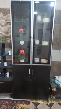 فاترينا • زان