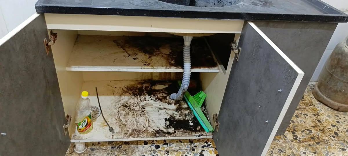 كاونتر mdf 3 قطع سعر 150 قفل بيع مستعجل مكان نجف براكيه النجف, العراق


**إذا كنت صاحب هذا الإعلان وتريد حذفه لأي سبب، رجاءا أرسل رسالة إلى الدعم الفني**