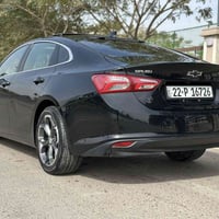 وارد امريكي • ٢٠٢٢ • بدون صبغ