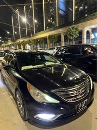 سوناتا • ٢٠١٣ • بلا لوحات