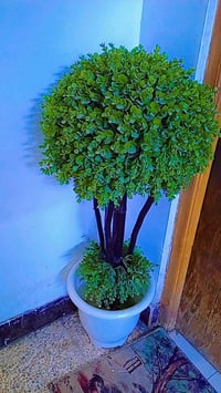 سندانات • سندان • اصيص زرع • ديكور منزلي • اثنان