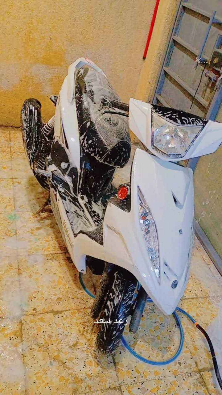 سلام عليكم جي تي ار موديل 11
دراجة نضيفه دشبول شغال كهربائات كامله شغاله بلاديه مكفولة مكينه وكفر 

ملاحضه بسيطه الكفر الامامي بي كسر الباقي دراجه مكفولة عامه السعر 900 بيها مجال بسيط مكاني شعب الاستفسار ***********
