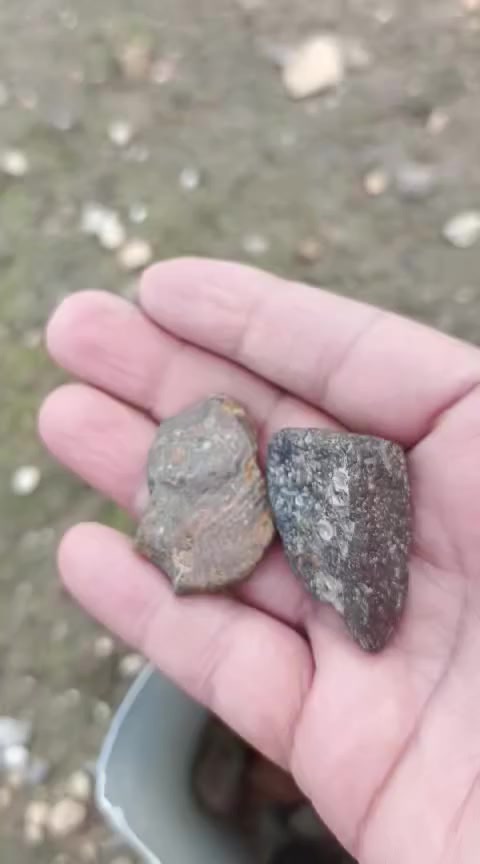 احجار متنوعه ملكاط بيدي للبيع كميات فوك ٢٠٠ حجره 
خام هبهاب زوعات سلطاني وهواي انواع وشكال للبيع
هذا رقمي ***********
