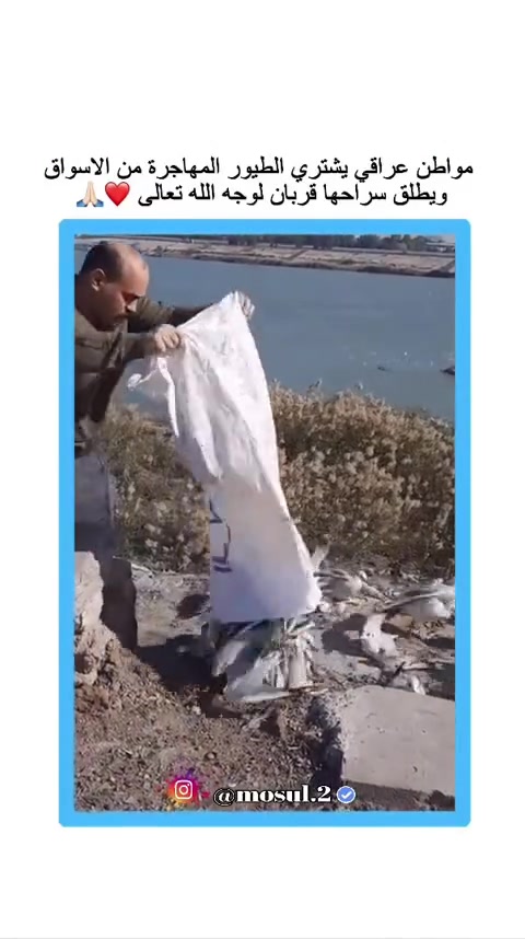### 🍃 الإطلاق العشوائي للكائنات الحية: بين الوعي البيئي والمخاطر الإحيائية
### 🍃 Random Release of Organisms: Between Environmental Awareness and Biological Risks
إن إطلاق الكائنات الحية كالبط أو الطيور أو الأسماك في المسطحات المائية والبراري دون دراسة علمية مسبقة يعد خرقاً فادحاً للتوازن البيولوجي، وممارسة قد تقود إلى كوارث بيئية بدلاً من إصلاحها.
#بيئة #توازن_بيولوجي #العراق #البصرة #تنوع_إحيائي #Environment #BiologicalBalance #Iraq #Basra #Biodiversity
Releasing organisms such as ducks, birds, or fish into aquatic environments and prairies without prior scientific study constitutes a severe breach of biological balance, a practice that may lead to environmental disasters instead of fixing them.
إن الفهم العميق لاستراتيجيات الدول الآسيوية في "نظام الأرز-البط" يوضح أن نجاحها يعتمد على "الإدارة المغلقة" داخل المزارع، حيث يُستخدم البط كأداة للمكافحة البيولوجية وتسميد التربة ضمن منظومة محكومة.
#زراعة #استدامة #مكافحة_بيولوجية #أمن_غذائي #زراعة_عضوية #Agriculture #Sustainability #Biocontrol #FoodSecurity #OrganicFarming
Understanding the deep strategies of Asian countries in the "Rice-Duck system" reveals that their success depends on "closed management" within farms, where ducks are used as a tool for biological control and soil fertilization within a controlled system.
وعلى العكس تماماً، فإن إطلاق هذه الكائنات في البيئات المفتوحة دون تنسيق مع الجهات المعنية كوزارة البيئة يحولها فوراً إلى "أنواع غازية" تستنزف الموارد وتنافس الأصناف المحلية على الغذاء والمأوى.
#أنواع_غازية #توعية_بيئية #أمان_حيوي #حماية_الطبيعة #قانون_البيئة #InvasiveSpecies #EnvironmentalAwareness #Biosecurity #NatureProtection #EnvironmentalLaw
Conversely, releasing these organisms into open environments without coordination with authorities like the Ministry of Environment immediately transforms them into "invasive species" that deplete resources and compete with native species for food and shelter.
إن الكائنات المُطلقة عشوائياً غالباً ما تكون حاملة لمسببات أمراض لا تملك الأنواع البرية الأصيلة أي مناعة ضدها، مما يهدد الصحة العامة والنظام الحيوي ككل ويسبب خللاً في السلسلة الغذائية المحلية.
#صحة_عامة #أوبئة #توازن_بيئي #علوم_الحياة #حماية_الحياة_البرية #PublicHealth #Epidemics #EcologicalBalance #LifeSciences #WildlifeProtection
Randomly released organisms are often carriers of pathogens against which native wild species have no immunity, threatening public health, the entire vital system, and causing disruption in the local food chain.
نحن في "مكتب الربيعي للمواد والتجهيزات الزراعية" و"منصة البصرة للتنمية الزراعية" نؤكد أن خبرتنا الممتدة لأكثر من 35 عاماً في قطاع الاستشارات والمشاريع الزراعية تفرض علينا دوراً توعوياً علمياً يسبق أي فعل ميداني.
#مكتب_الربيعي #البصرة_للتنمية_الزراعية #خبرة_زراعية #استشارات_زراعية #هندسة_زراعية #AlRubaieOffice #BasraAgriculturalDevelopment #AgriculturalExpertise #AgriculturalConsulting #AgriculturalEngineering
At "Al-Rubaie Office for Agricultural Supplies" and the "Basra Agricultural Development" platform, we emphasize that our experience spanning over 35 years in agricultural consulting and projects imposes on us a scientific awareness role that precedes any field action.
نحن لا نكتفي بالاستيراد والتجهيز لكافة المشاريع من حقول الدواجن، والأبقار، والمحميات، والدفيئات، والمزارع السمكية، بل نضع "العلم" في صلب كل مقاولة أو تصميم ننفذه لمشاريع "اللاند سكيب" وتأهيل المساحات الخضراء.
#مشاريع_زراعية #دفيئات #مزارع_سمكية #تشجير #هيدروجيل #AgriculturalProjects #Greenhouses #FishFarms #Afforestation #Hydrogel
We do not just import and supply for all projects, from poultry, cattle, greenhouses, and fish farms, but we place "Science" at the core of every contract or design we execute for "Landscape" projects and green space restoration.
إننا ندعو زبائننا الكرام ونشطاء البيئة للاستفادة من استشاراتنا المجانية، وضمان تنفيذ مشاريعهم وفق مواصفات قياسية، سواء كان ذلك في النخيل النسيجي، منظومات الري، أو مكافحة الآفات والحشرات، لنبني معاً بيئة مستدامة ومزدهرة.
#نخيل_نسيجي #منظومات_ري #مكافحة_الآفات #زراعة_مائية #بيئة_مستدامة #TissueCulturePalms #IrrigationSystems #PestControl #Hydroponics #SustainableEnvironment
We invite our valued customers and environmental activists to benefit from our free consultations and ensure their projects are executed to standard specifications, whether in tissue culture palms, irrigation systems, or pest control, so we can build a sustainable and prosperous environment together.
### 📞 تواصلوا معنا للبدء بمشاريعكم العلمية:
لطلب الاستشارة الزراعية المجانية، شراء البذور، الأسمدة، المعدات، أو تنفيذ مشاريعكم المتكاملة (حقول، محميات، مساحات خضراء، مشاتل)، كادرنا الهندسي المتخصص بانتظاركم:
🌐 **للانضمام إلى مجتمعنا التقني عبر الوتساب:**
رابط مجتمع الوتساب
📺 **لمتابعة أحدث أخبارنا التعليمية عبر قناة الوتساب:**
رابط قناة الوتساب
📍 **موقعنا:** العراق، البصرة، العشار، شارع الوطن، الفرع المقابل لمعرض العدسة للكامرات، مقابل حلاقة حكمت والأصابع الذهبية، مجاور مكتب طباعة وتصميم إعلانات محمد شاتي.
📱 **للأرقام المباشرة:**
*********** | *********** | ***********
**خالص تحياتنا، فريق مكتب الربيعي للمواد والتجهيزات والمقاولات الزراعية.**
