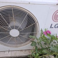 سبلت • ٢ طن • نقص غاز