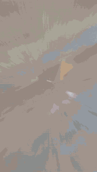 روضة وحضانة • صباحي ومسائي • من شهرين-٦سنوات