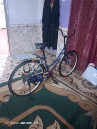 بايسكل • نظيف • قابل للتفاوض