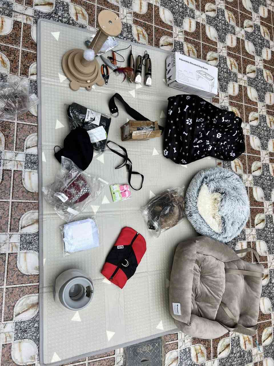 شلعه كامله كارتونين  مستلزمات كلاب و قطط اجلكم الله 
التفيده يكتب بيهن سعر


**إذا كنت صاحب هذا الإعلان وتريد حذفه لأي سبب، رجاءا أرسل رسالة إلى الدعم الفني**