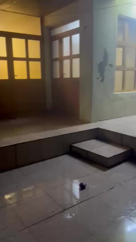 السلام عليكم بيت للأيجار في السليمانية منطقة زركته جديده مستقل غرفتين نوم وهول واستقبال ومطبخ وصحيات ***********
كذلك يوجد بيوت للبيع وشقق للبيع بالتقسيط والايجار في كافة أنحاء السليمانية
عقارات ابو رزان في السليمانية *********** واتساب
