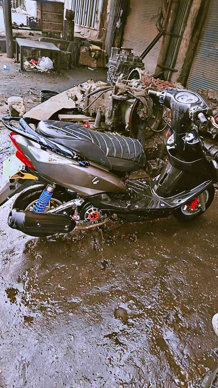 ثعلب للبيع 
300
***********
