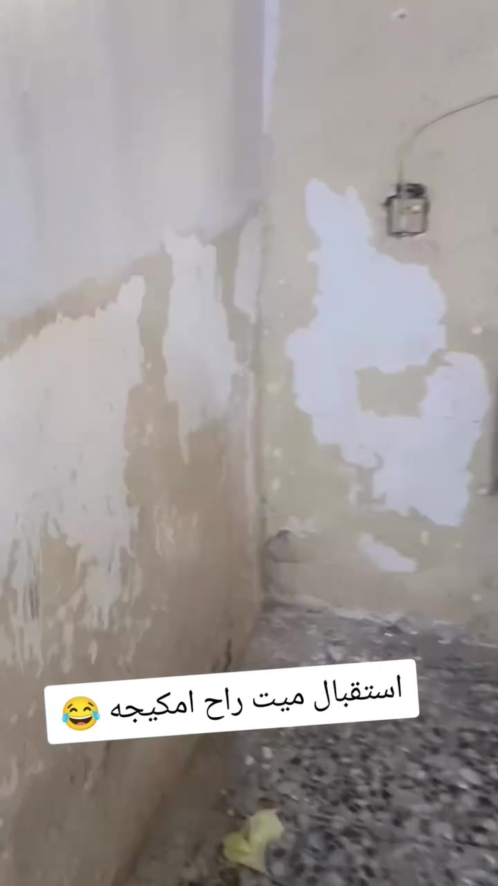 انتاج من شغلي صباغ داخل وخارج وطلس عام  ومعالجة رطوبه وكافة انواع صبغ عملي بغداد  كرخ ورصافه وشرط الالتزام بالعمل***********
