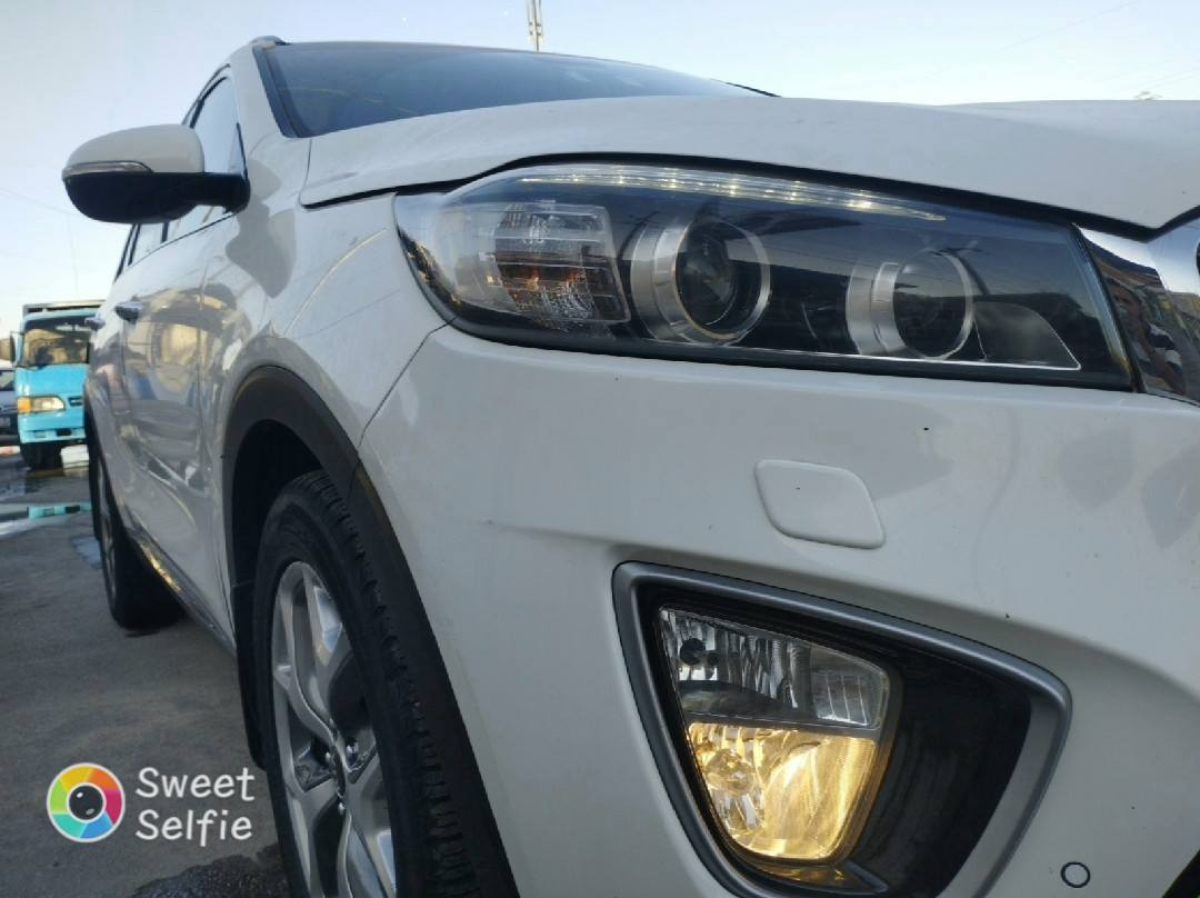 سورنتو 2016 خليجي  رقم بغداد بأسمي   مكفولة كفالة عامة
المواصفات 
4 سلندر 
٧راكب 
٣ قطع تبريد 
بصمة تشغيل 
ابواب بصمة
مري شفط 
اشاير بالمري
علامة سورنتو بدوسة ضوئيه
حساسات امامي
حساسات خلفي
انضمة تشغيل سبورت ...ايكو.... عتيادي...
 ويل 🕷 المرغوب
جي بي اس
فول تحكم ستيرن 
نضام تثبيت السرعة
مكينة وكير وحدادية كلش جديده ومكفول
كشن السائق  كهربائي
كامرة دوارة خلفية 
ماشية 122 ألف
ونعتذر عن الاطالة شراي اتصل وبيك خير وتدلل مكانها ميسان العماره  السعر 208 وبيه مجال الطيبين ***********             ***********
