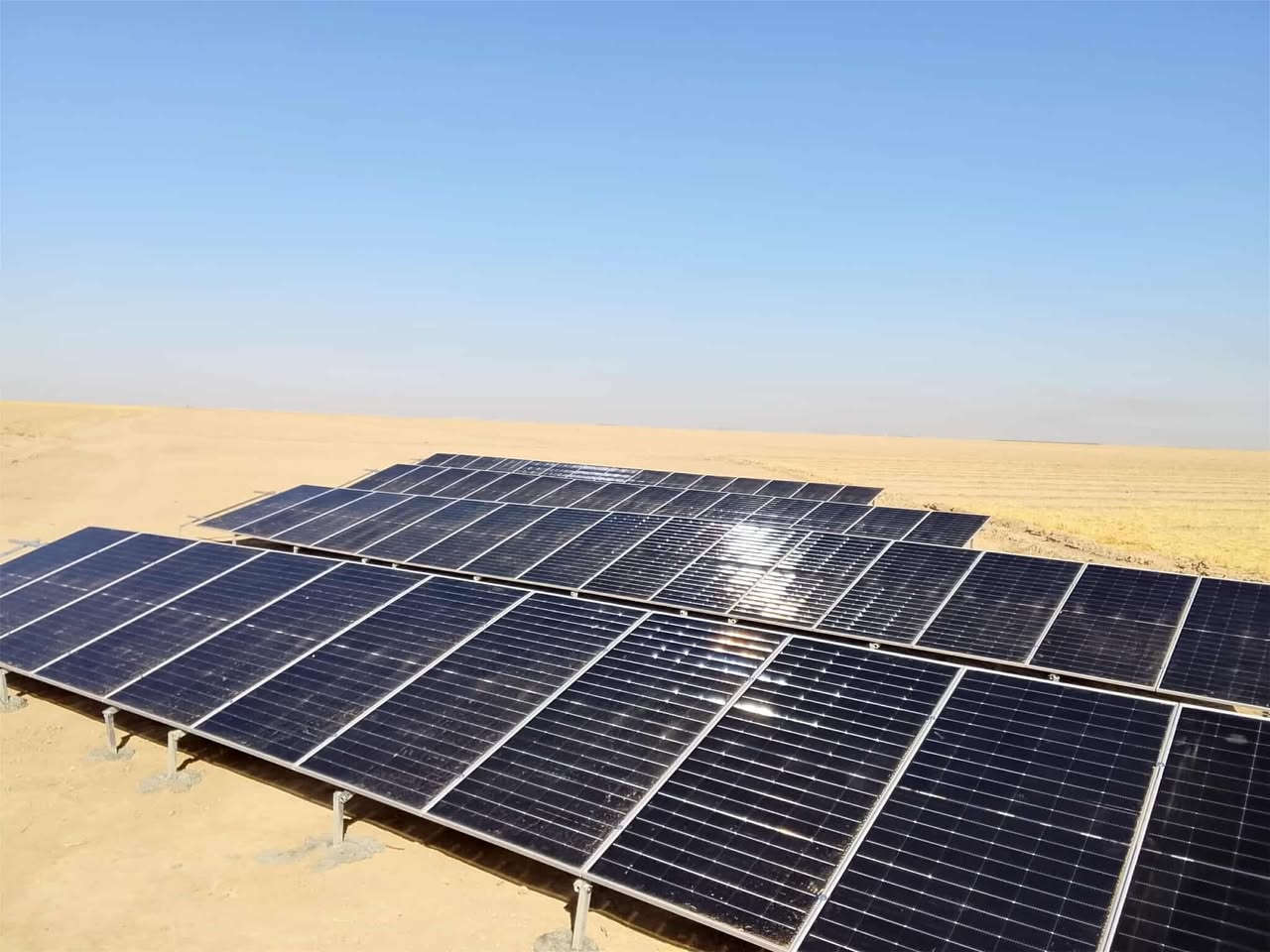 #منضومتك_بلاش_لاصحاب_ماستر_الرافدين
#قسط_مريح_جدا
***********
زراعيات حكوميات منزليات 
كل الهلا 😍
