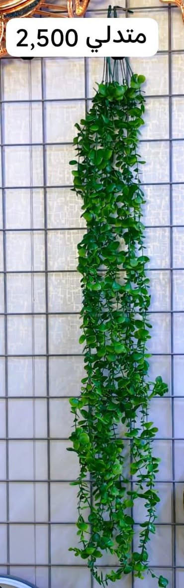 العنوان بابل نادر الثانيه 🌹


**إذا كنت صاحب هذا الإعلان وتريد حذفه لأي سبب، رجاءا أرسل رسالة إلى الدعم الفني**