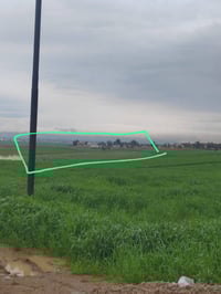 ٤ دونم ونص • بير • سند 2025