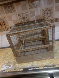 قفص بلابل • نضيف