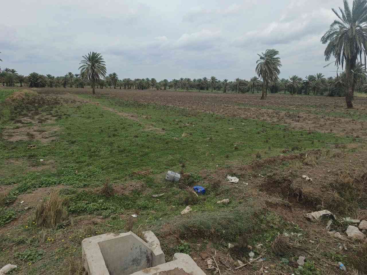 اسلام عليكم قطعه ارض لبيع طابو زراعي سند 25 تحويل مباشر
المساحه الكليه 7دونم  الواجه 110 
خدمات كامله تبعد عن الشارع العام 200 متر
موقع الرض منطقه الدسميه قرب حسينيه سيد شاكر
تصلح تقسيم تصلح مزرعه كلش حلوه شارعه 8متر
يتوفر كافه الخدمات  لمعلومه الكاع تنباع كله 7دونم
سعر الرض اتصال ع الرقام   بسعر مناسب  
***********
***********
