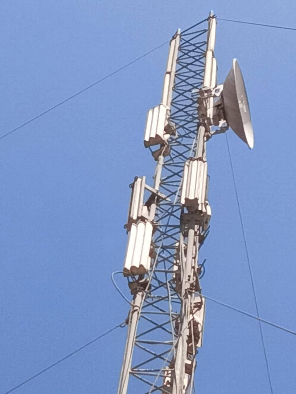 برج انترنت مستعمل للبيع
📡 للبيع معدات بث إنترنت (WISP) بحالة جيدة

متوفر معدات كاملة ومفصّلة للبيع (تعمل سابقاً على برج إنترنت):

🔹 راوترات MikroTik 912 عدد (11)
🔹 سكترات UBNT عدد (10)
🔹 أومني UBNT 
🔹لنك airFiber 5X
🔹 نانو PowerBeam عدد (2)
🔹 عاكسة ماكسما + بطارية + كابينة 
🔹 جهاز فايبر ضوئي OLT
🔹 حديد 18 متر مع هوكات حديد جكر بليت
🔹 هب CISCO 2960 + بور سبلاي + Patch Panel
مكاني الدورة ***********
غير متواجد على الفيسبوك 
السعر قيم واخذ بما يرضي الله
