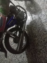 ٢٢٥ • محموديه