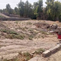 تل الماجد • قطعة أرض • تكعيبة مدفونة