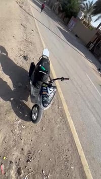 ماكس • ٥٥ • مكفوله