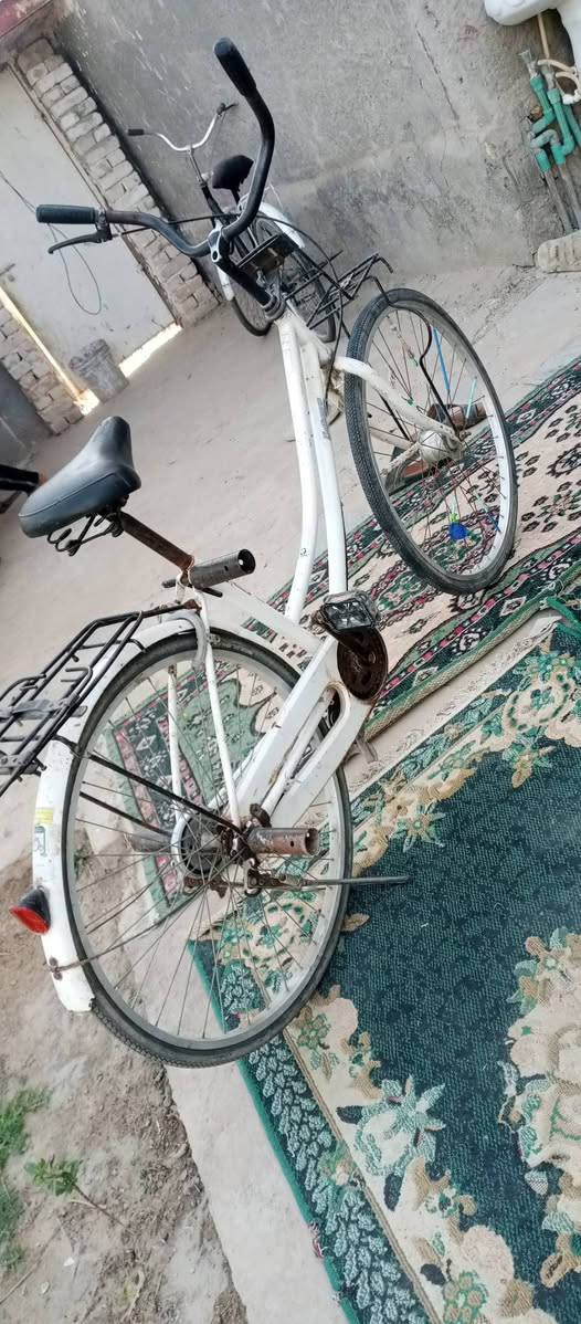 السلام عليكم باسكل للبيع السعر ٦٥وبي مجال الشراي يجي خاص


**إذا كنت صاحب هذا الإعلان وتريد حذفه لأي سبب، رجاءا أرسل رسالة إلى الدعم الفني**