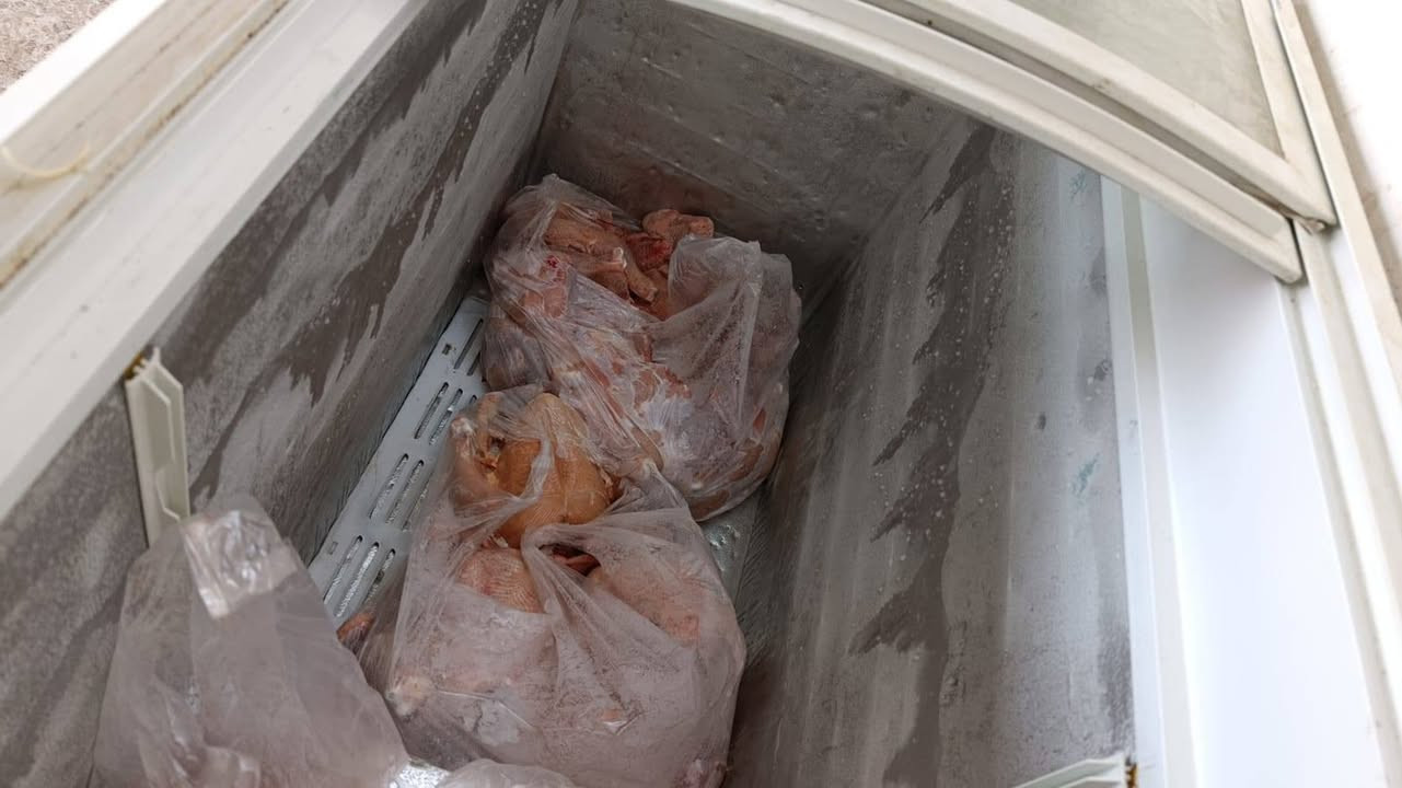 سلام عليكم مجمدة نضيفة للبيع مكاني كركوك سعرها ٢٥٠ ألف
***********
