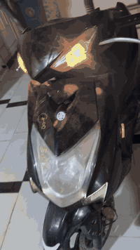 سلام عليكم سكنس شمعه ياباني قبق نفخ ستان كهربائي مكفوله كفاله عامه شرط كفر عده لمكينه شويه مفتوحه دراجه خير من لله نكره صبح فول ماشيه27الف.            لاستفسار شراي ينتصل ‭0773 858 6584‬
