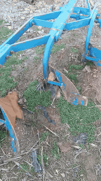 سلام عليكم البيع فدان تركي حجم ١٤ التفاصيل رقم موبايل ***********
