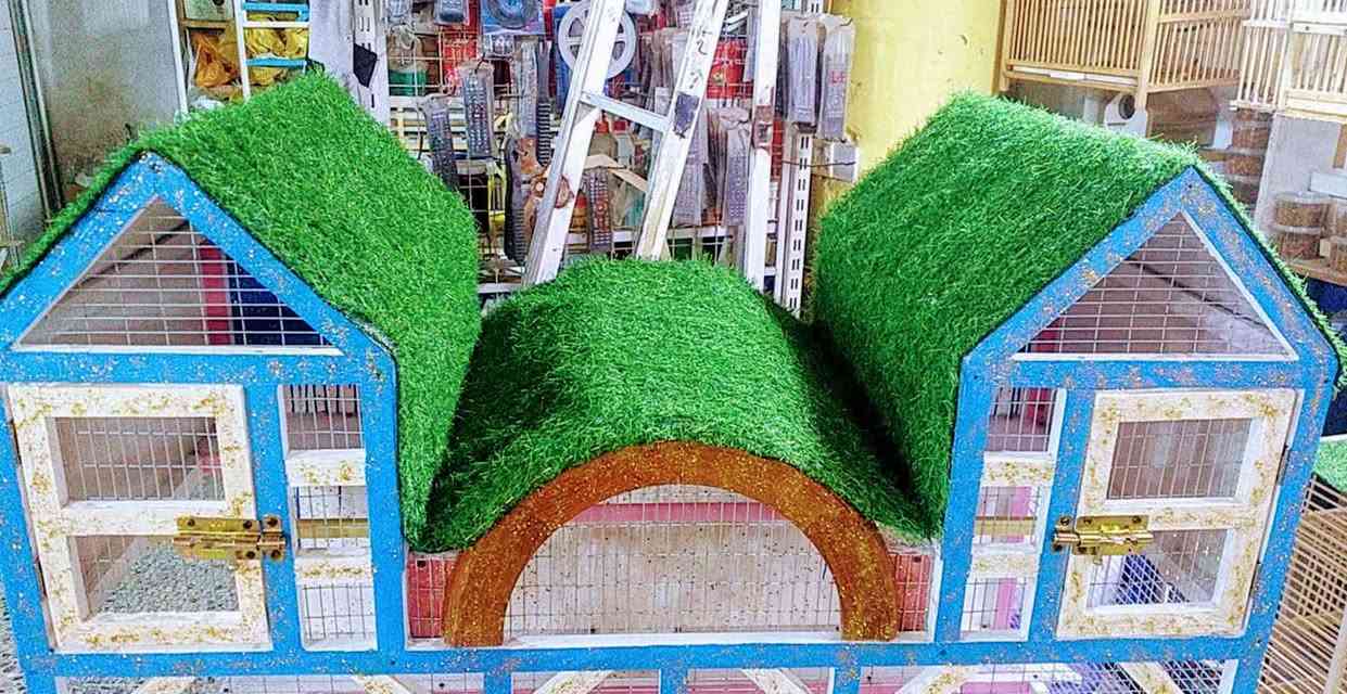 نجارة جميع انواع اقفاص الطيور والابراج والخانات كربلاء حي النصر *********** جملة لاصحاب المحلات كربلاء, العراق
