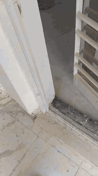 بيت ايجار شقتين طابق ثاني وثالث مساحه 150م هاتف *********** ابو علي
