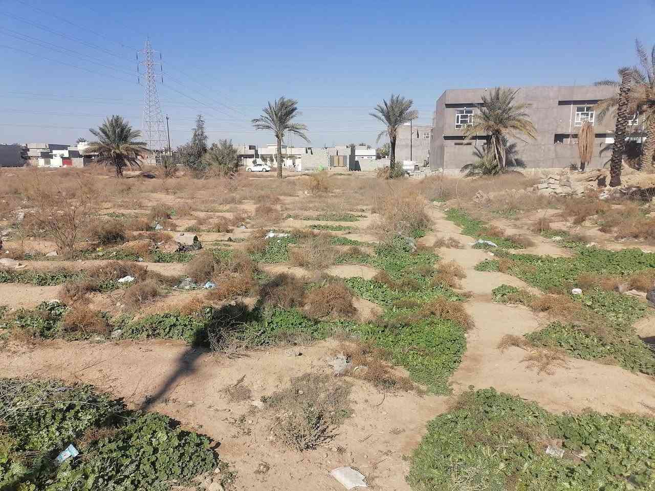 السلام عليكم ورحمة الله وبركاته
نص دونم للبيع في ام العظام منطقة كاملة وخدمات الوجه 21 والنزال 56
طابو سند 25

للاستفسار ***********
