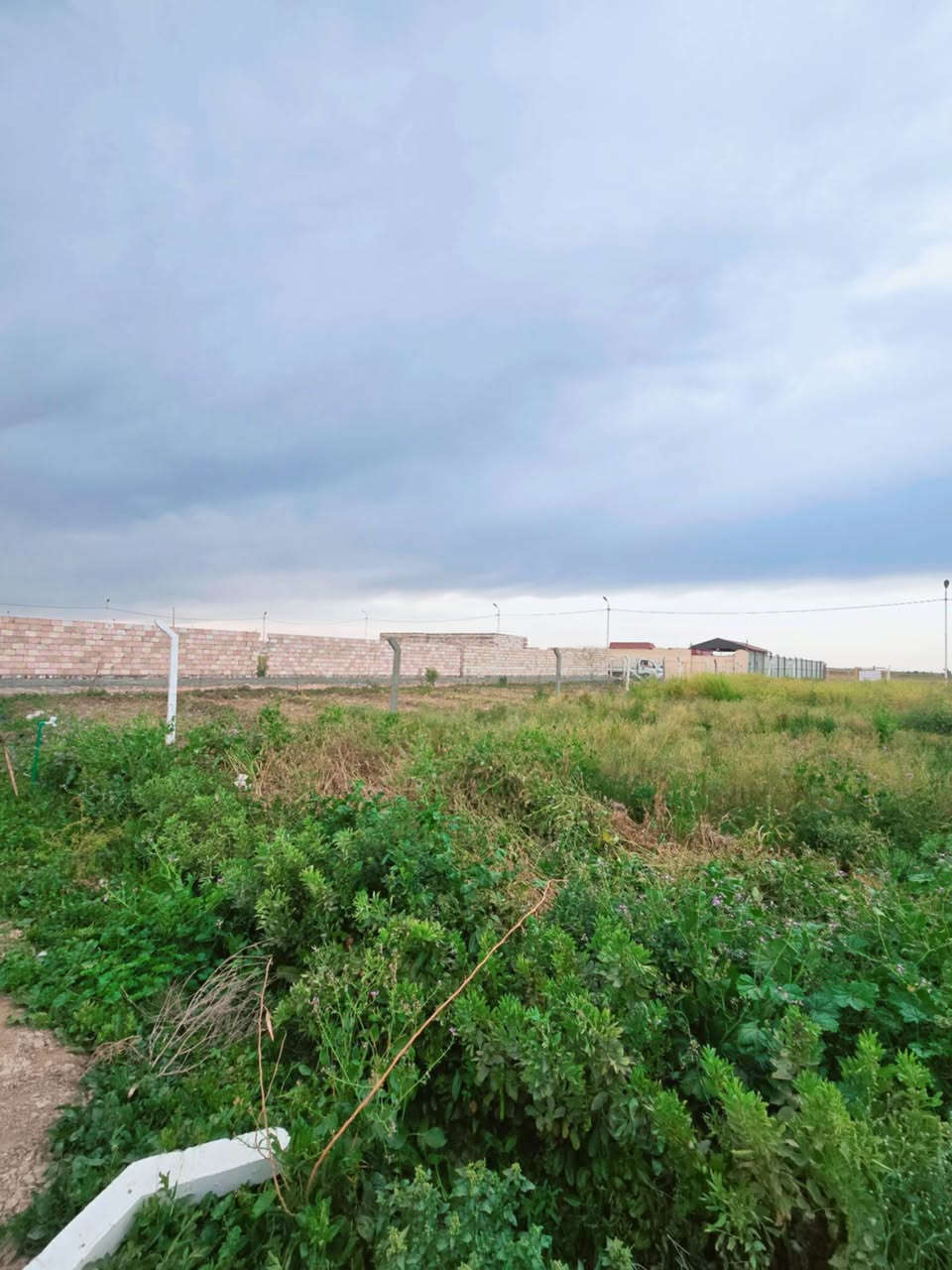 قطعه 500متر سند (25)وجه 12نزال 42 سكن اومزرعه القطعه مطله على شارعيين العنوان سياحي السنيه خلف مجمع توحيد العفلوكي الاول نزله السكه  ثلاث خطوط ماء كهرباء اناره شوارع محوله خاصه كافه الخدمات متوفره السعر 23 مليون وبيه مجال...


**إذا كنت صاحب هذا الإعلان وتريد حذفه لأي سبب، رجاءا أرسل رسالة إلى الدعم الفني**