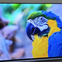تلفزيون حجم SHOWNIC 65  ذكية Smart 4K موديل TL-DWU65A، استعمال  شهرين ...