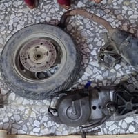 سلف • ماكس ثعلب • صالنصه