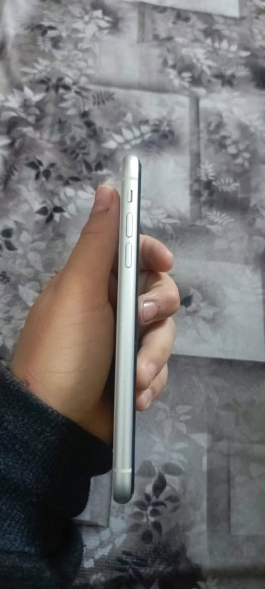 السلام عليكم ايفون 11 عادي
ذاكرة ٦٤

بطارية ٨٢ (ما مبدلة)

التلفون ما مفتح

تك سيمكرت 

مراوس او بيع اش عندك نزل 

لا تكسر بيه مكاني موصل


**إذا كنت صاحب هذا الإعلان وتريد حذفه لأي سبب، رجاءا أرسل رسالة إلى الدعم الفني**