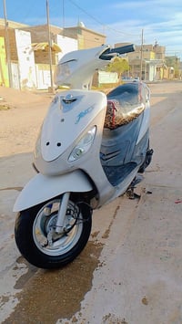 ماكس منغولي • ناعمه • دوانيه