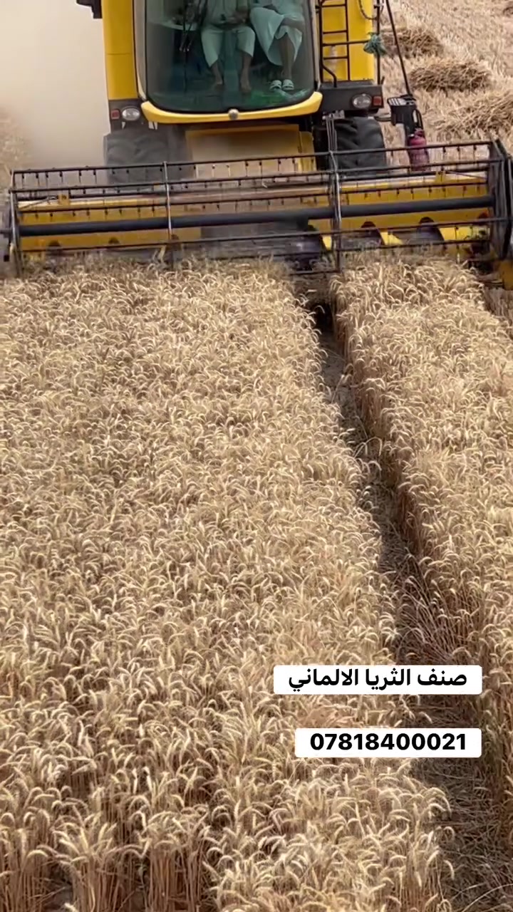 للتواصل الاتصال على الرقم 
***********
