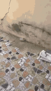 مشتمل ١٠٠م طشاش  حي الميمون شارع مدرسة الازكياء  ينرادله تنظيف لان متروك   يحتوي ع  كراج و صالة ومطبخ داخلي وغرفة وصحيات وفوگ بيتونة ومخزن،للاجار  مطلوب عائلة صغيرة و  يفضل موظف  
اي استفسار الاتصال ع  الرقم ***********
